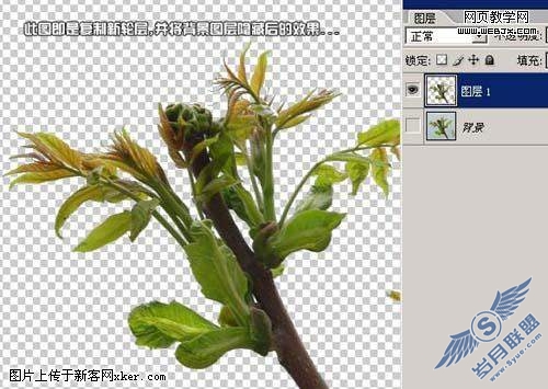 Photoshop通道抠图教程:绿叶树干