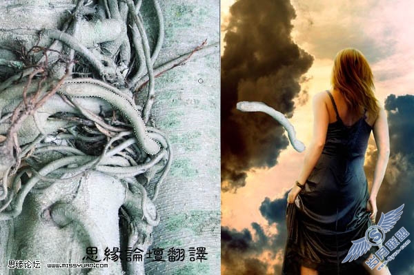 PS合成捆满树枝的美女