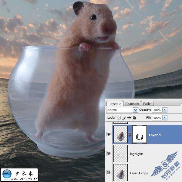 photoshop制作老鼠在透明玻璃瓶里的效果【图】_