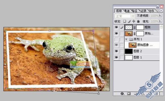 Photoshop打造陷入照片的青蛙