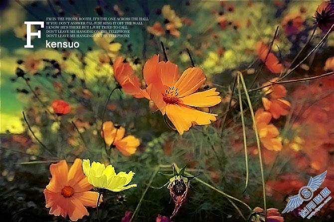 Photoshop打造野花橙黄色效果