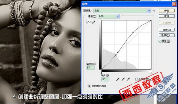 暗调咖啡色美女制作教程