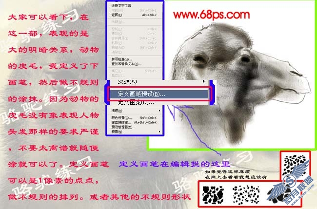 PS鼠绘沙漠骆驼插画