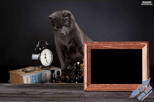 Photoshop合成素描小猫的现场图片【图】_