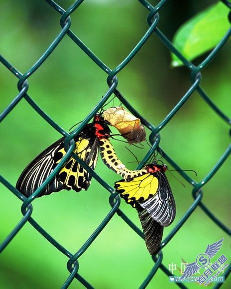 Photoshop初学者实例教程:简单打造照片立体效果