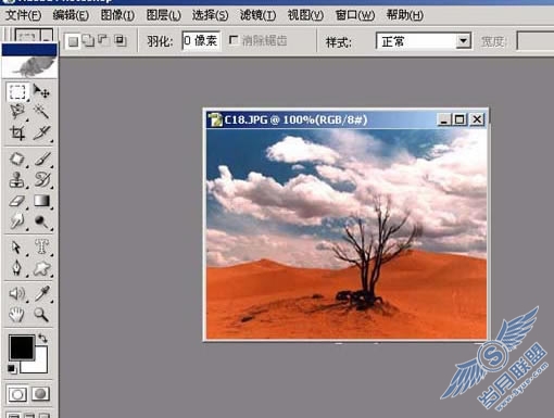 Photoshop处理图片为淡墨效果