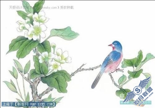 点击放大此图片