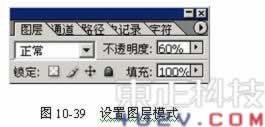 胶瓶式结构包装--润滑机油包装(九)