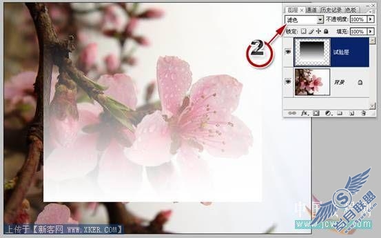 Photoshop入门教程:数字运算的魔力—混合模式巧抠图