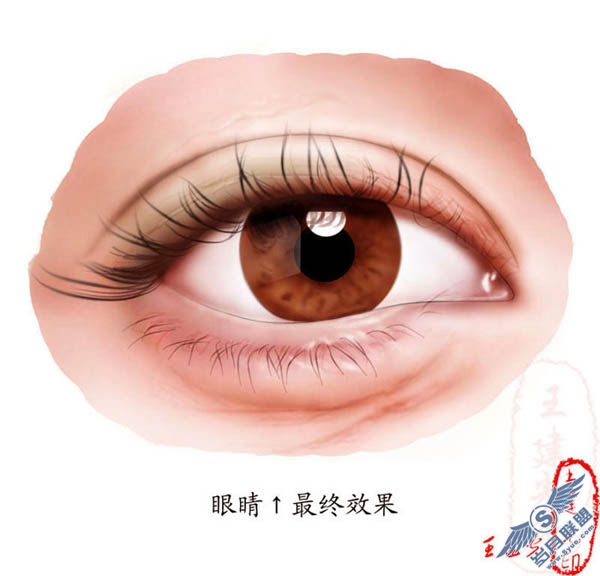 Photoshop鼠绘眼睛的详解教程_
