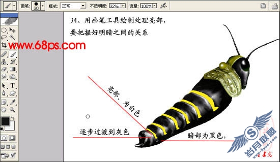 PhotoShop鼠绘超真实的蝗虫