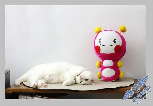 PhotoShop CS4教程:智能拉伸让操作更加便捷