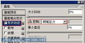 Photoshop路径模仿光线画笔绘制特效蜂鸟