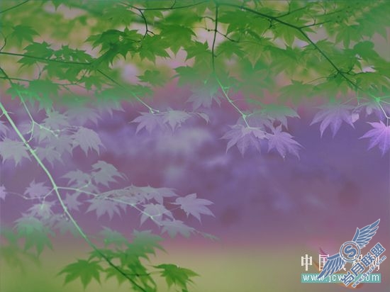 Photoshop合成教程:创意设计打造梦幻精灵艺术效果