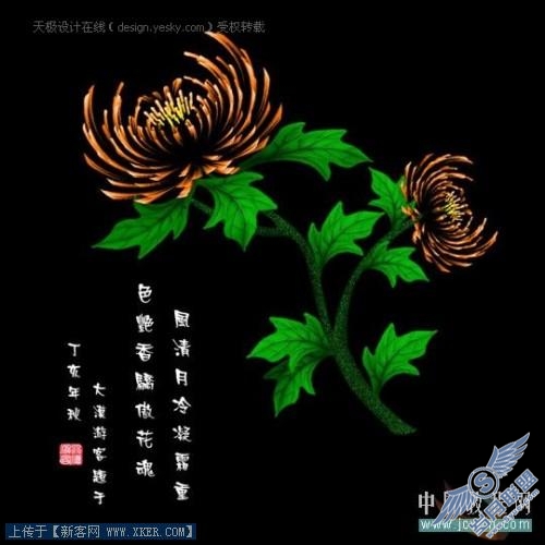 点击放大此图片