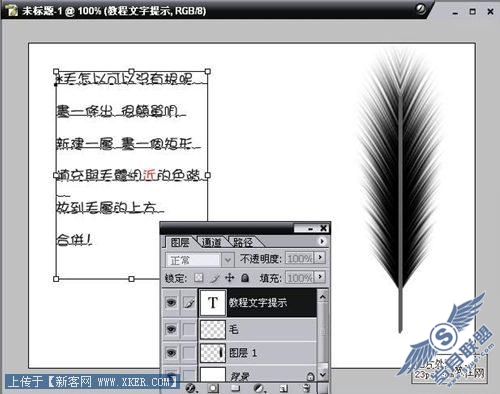 巧用Photoshop“风”滤镜制作羽毛画_整理转载