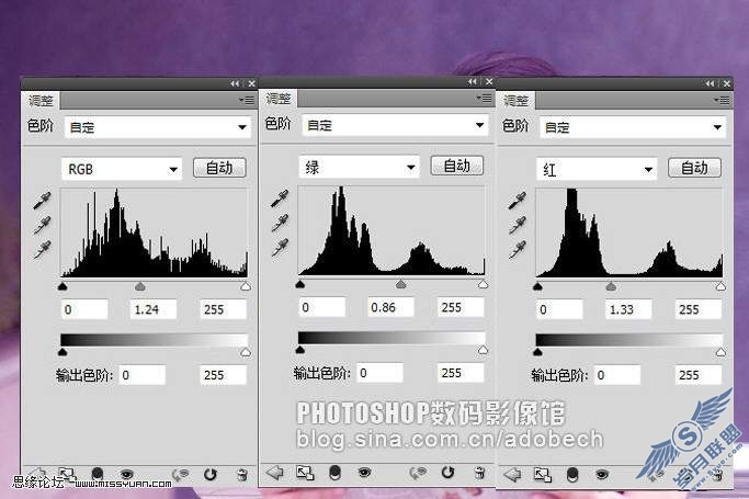 photoshop调色:曲线和色阶简单教程
