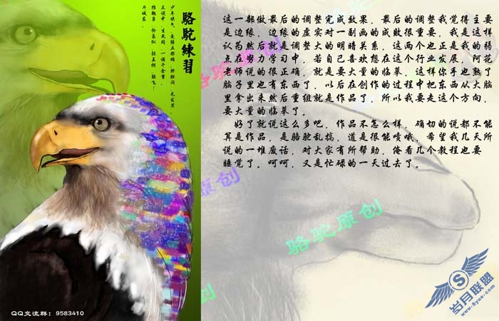PhotoShop鼠绘一只彩色羽毛的鹰