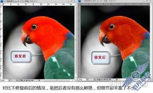 PhotoShop巧用通道还原照片细节