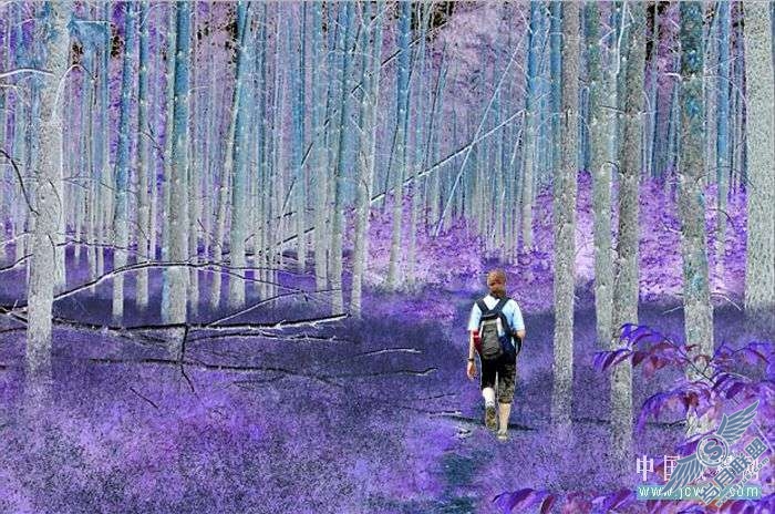 Photoshop制作紫色梦幻色调【图】_
