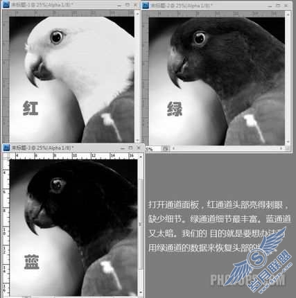 PhotoShop巧用通道还原照片细节