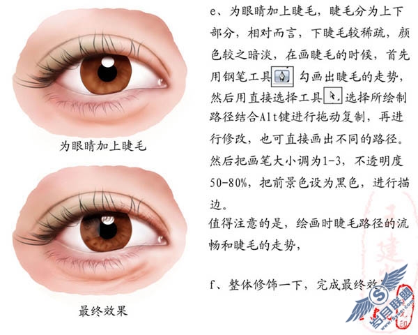 Photoshop鼠绘眼睛的详解教程_
