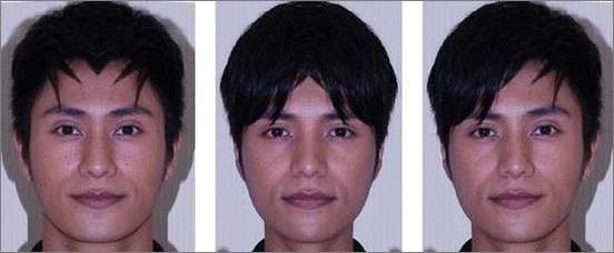Photoshop出来的众多明星对称脸照欣赏