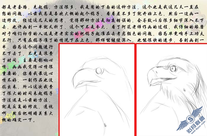 PhotoShop鼠绘一只彩色羽毛的鹰