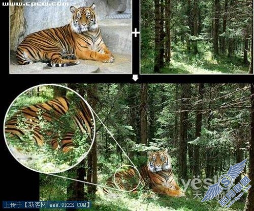 Photoshop图片合成实例:放虎归山_天极设计在线整理转载