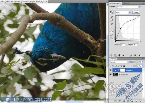 各选所需 快速掌握Photoshop CS4