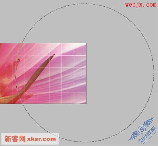 Photoshop给图片增加透明棋盘特效(图十六)