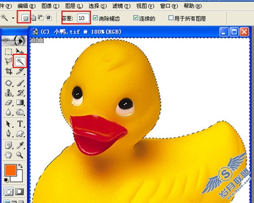 Photoshop套索工具和魔术棒工具篇
