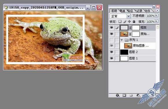 Photoshop打造陷入照片的青蛙