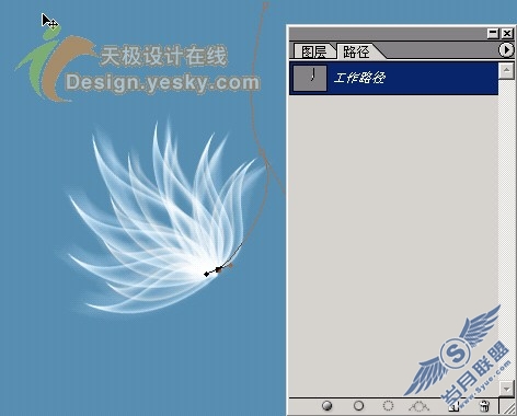 天极设计在线_Photoshop滤镜绘制半透明叶片