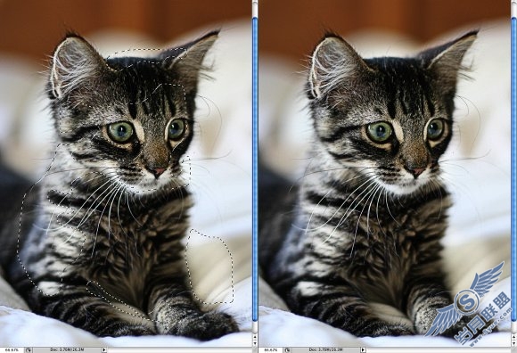 Photoshop滤镜结合混合模式让照片变清晰