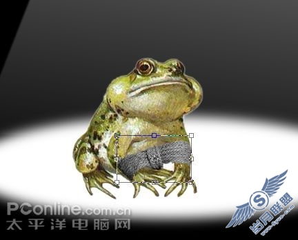 Photoshop合成创意教程：青蛙的呐喊