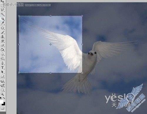PhotoShop为宝宝添加梦幻天使翅膀