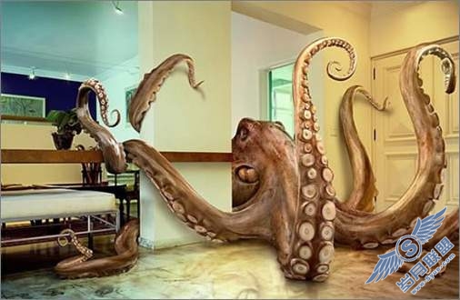 70个Photoshop超酷的特技图赏