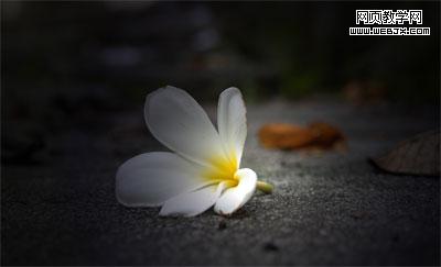 Photoshop照片处理教程:柔化聚光灯效果