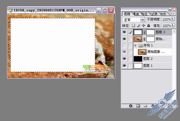 Photoshop打造陷入照片的青蛙