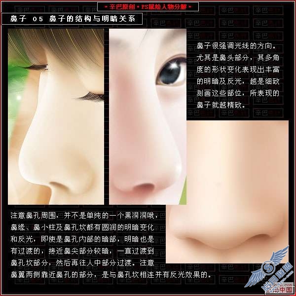 Photoshop鼠绘人物分解教程——鼻子篇【图】_