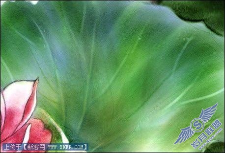 Painter手绘荷花水彩画_天极设计在线转载