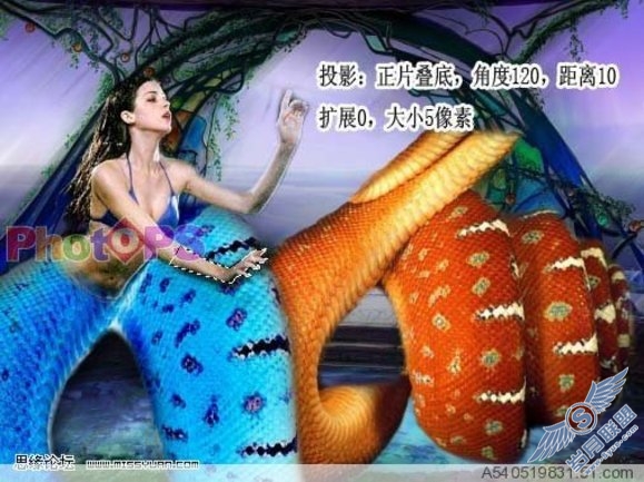用Photoshop合成诱惑逼真的美人蛇