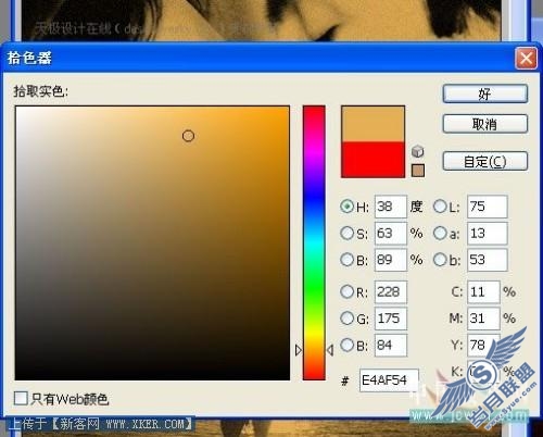 点击放大此图片