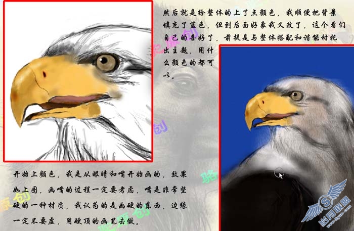 PhotoShop鼠绘一只彩色羽毛的鹰