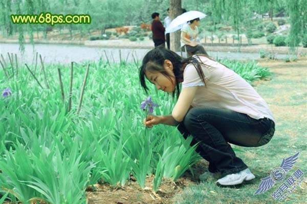 Photoshop调出照片外景鲜艳的绿色调