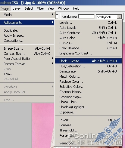 Photoshop CS3亲密接触(5):怀旧赫本 黑白魅影(图二)