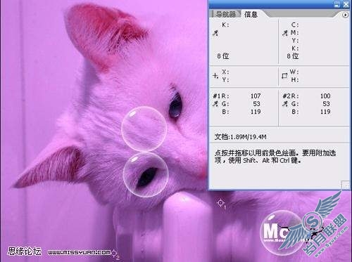 photoshop校色: 调出猫咪中性灰