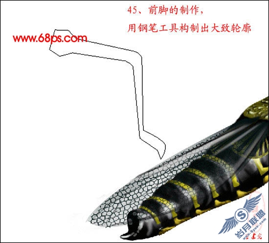 PhotoShop鼠绘超真实的蝗虫