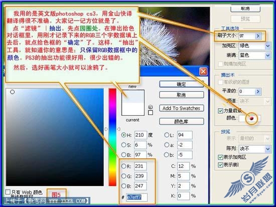 抽出滤镜快速勾出教复杂的物体